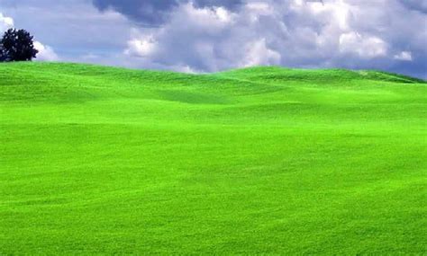 Campos Verdes 2 .